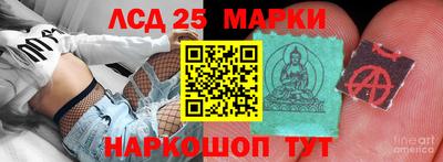 ПСИЛОЦИБИНОВЫЕ ГРИБЫ Владимир