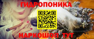 скорость Вышний Волочёк